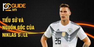 Tiểu sử và nguồn gốc của niklas süle