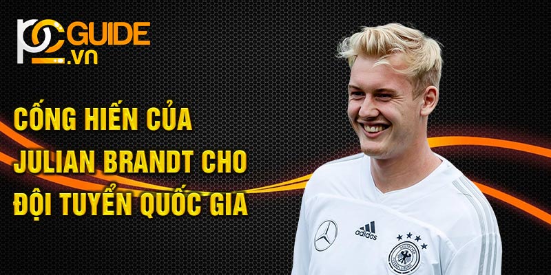 Cống hiến của Julian Brandt cho đội tuyển quốc gia